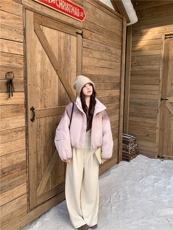 渐变粉色羽绒服女短款2025冬新款休闲立领保暖外套，女装羽绒服，2C269