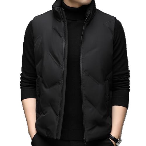 F81500白鸭绒90精品时尚休闲立领简约中青年男士冬季羽绒马甲,男装背心/马甲,钱塘207-1