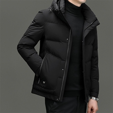 DF23315钱塘2020-2新款冬季时尚百搭连帽简约中年男士羽绒服P293，男装羽绒服，钱塘207-2