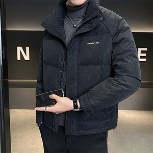 标50灰鸭绒轻薄羽绒服男冬季外套B317-Y9508-P195图片