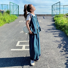 深蓝色气质牛仔上衣直筒裤两件套女2025夏季新款高腰减龄显瘦套装，女装套装/套裙，浙宝276（原081）