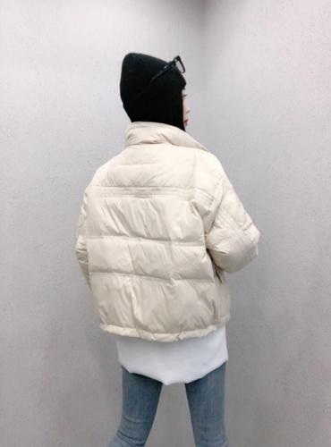 DG851韩版新款时尚立领保暖百分百羽绒服,女装羽绒服,L·H·X