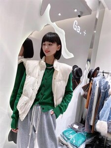 羽绒马甲图片