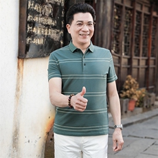 中年休闲男装翻领半袖T恤衫2023夏季新款男士polo衫薄款休闲上衣，男装Polo衫，电商B212（原钱塘6029）