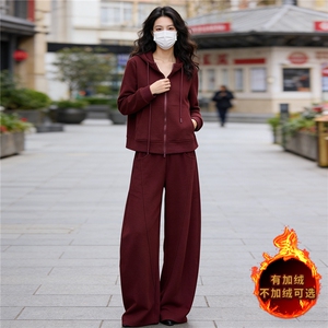时尚休闲运动套装女秋冬款洋气减龄气质拉链连帽卫衣直筒裤两件套图片