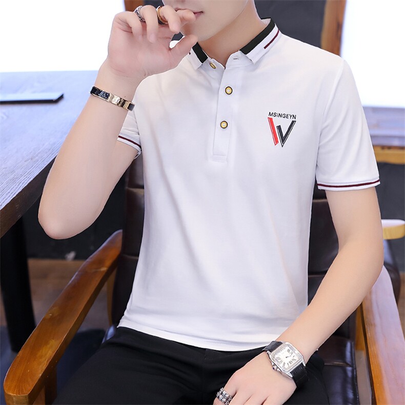 夏季新款短袖95棉高品质翻领POLO衫休闲短袖T恤 DS-A158-T058图片