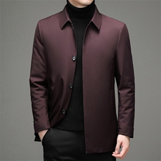 新款冬装可卸内胆羽绒服中长款休闲中年爸爸装外套ZL32133-P195，男装羽绒服，电商B212（原钱塘6029）