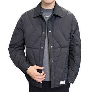 标90白鸭绒店主风轻熟高级感时尚休闲羽绒服外套男YR23801-P195图片