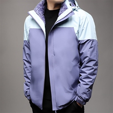 浅紫