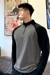 网图慎用 德绒撞色拼接立领插肩袖大码长袖T恤男T24514-特P25控48图片