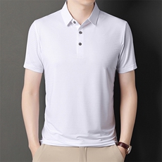 POLO衫男上衣半袖男装衣服男士体恤衫T恤潮牌休闲翻领爸爸短袖男，男装T恤，电商B212（原钱塘6029）