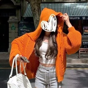 新款时尚麻花开衫毛衣女士春夏季2025新款时尚装饰韩版旅游穿搭图片