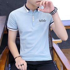6001纯棉夏装翻领男短袖t恤潮流帅气半袖POLO衫，男装T恤，电商D310（原电商305）