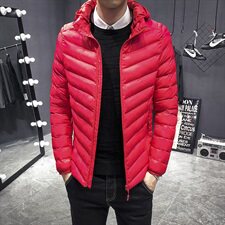 2020冬季新款男士棉衣外套新款韩版潮流棉袄薄棉服DS234T，男装棉衣，电商A102