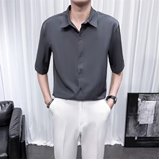 冰丝短袖衬衫男商务休闲免烫半袖衬衣夏季宽松五分半袖寸衫D6，男装衬衫，星座1116A-2（原606A-1）