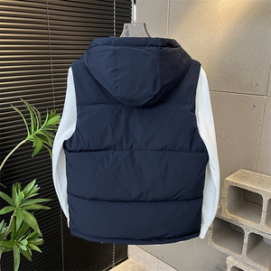 连帽刺绣棉马甲轻奢拼色潮流休闲坎肩加厚保暖 313B-WB2517-P75图片
