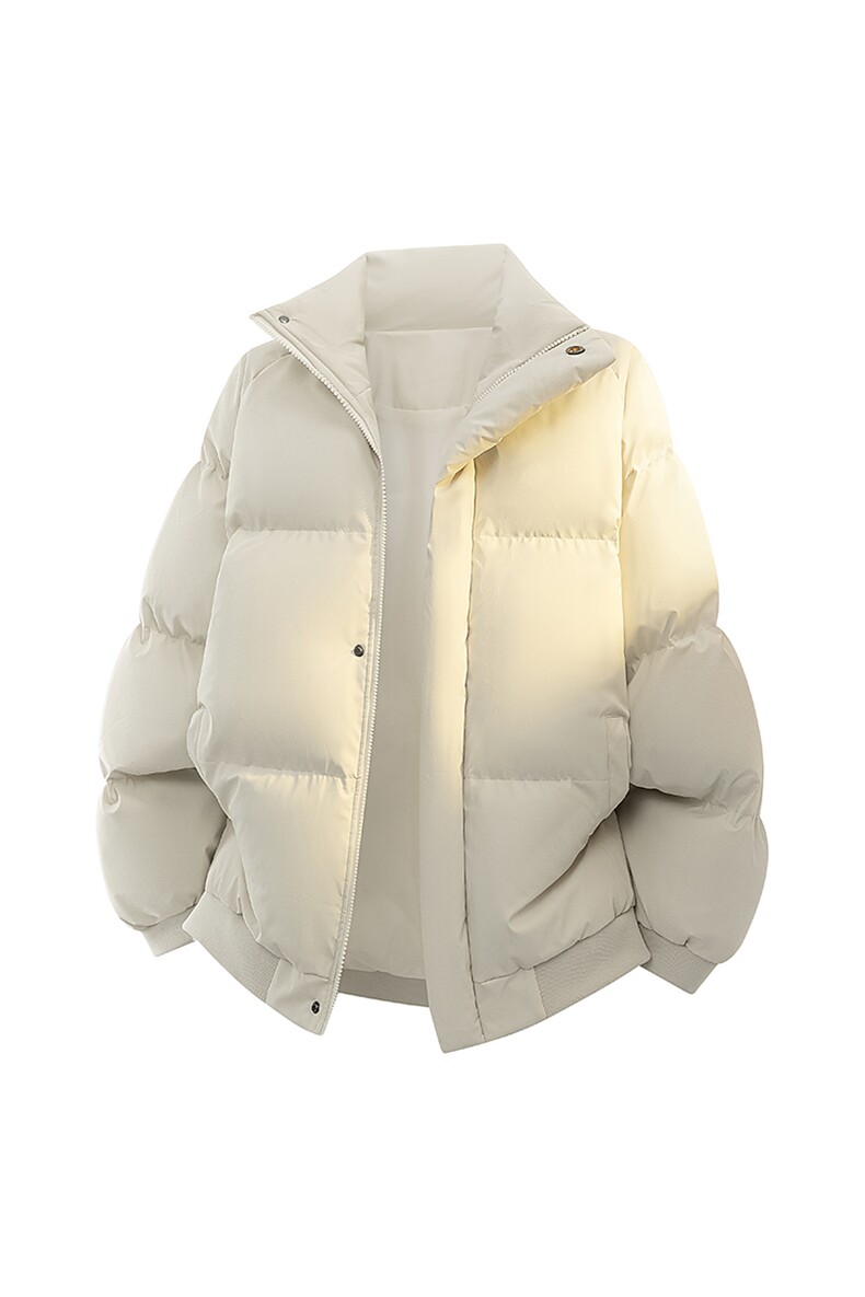 新款冬季羽绒立领PU皮棉服棉袄韩版宽松外套A436-2522-P80,男装棉衣,电商A436