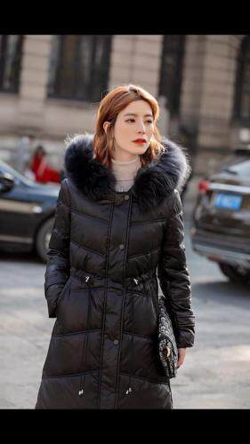 红.炫影 HZHXY101930