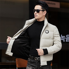 冬季白鸭绒加厚羽绒服短款中青年休闲立领保暖防寒潮服外套男装，男装羽绒服，钱塘6003（原4033）