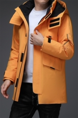 冬季休闲可拆卸帽中长款羽绒服新款中青年加厚外套DFLDY6001-P295，男装羽绒服，电商B212（原钱塘6029）