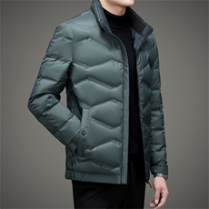 BAMJ-8907钱塘2020-2中年男士冬季厚款简约立领商务羽绒服P140，男装羽绒服，钱塘207-2