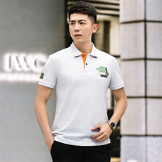夏季丝光棉短袖T恤男士2026新款薄款冰丝透气宽松休闲翻领Polo衫，男装T恤，电商B212（原钱塘6029）