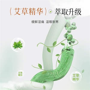 2025年秋季新款德绒艾草一体绒护腰保暖时尚吸湿透气图片
