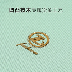 2024年翻领百搭潮流中年上衣时尚夏季宽松短袖T恤CK32002-P70，男装Polo衫，星座1105-3