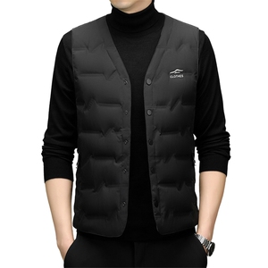 冬季羽绒马甲男外套2026年新款高端立领保暖羽绒服潮服马夹图片