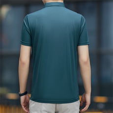 衬衫领半袖t恤男有带领2023夏季新款体恤男士商务休闲翻领polo衫，男装Polo衫，电商B212（原钱塘6029）