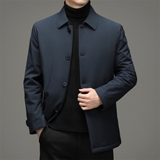 冬季棉衣男外套翻领中青年男保暖棉服爸爸装外套DFLDM16003-P160，男装棉衣，电商B212（原钱塘6029）
