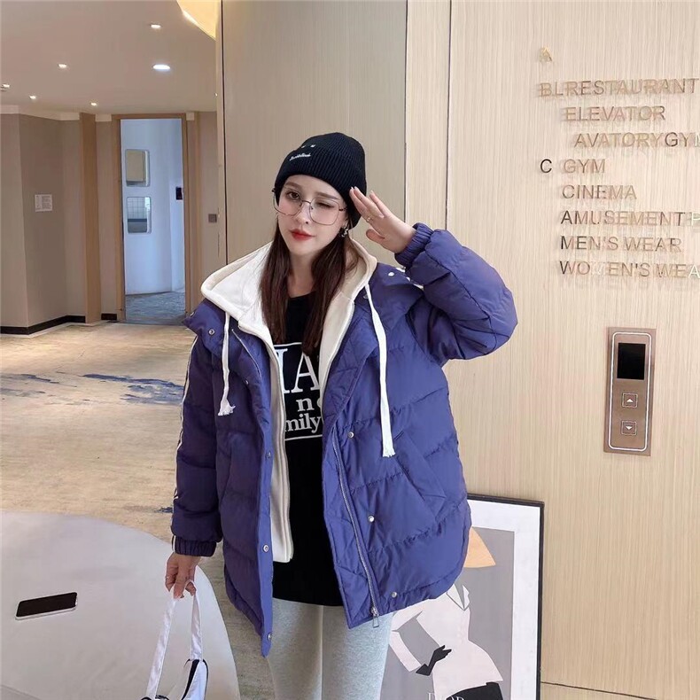 香丽迪 HZXLD133579