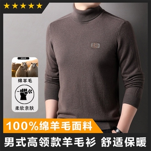 羊毛中高端男士翻领羊毛衫毛衣主推基础款图片