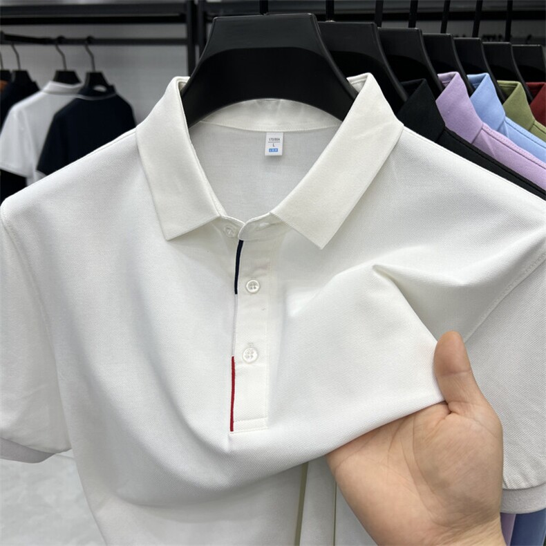 2025夏季纯棉男士短袖t恤翻领纯色POLO衫中青年轻奢休闲上衣,男装T恤,电商B212（原钱塘6029）