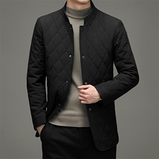 冬季外套男2022棉服男立领棉衣商务休闲中年加厚棉袄保暖外套，男装棉衣，电商B212（原钱塘6029）