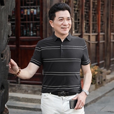 中年休闲男装翻领半袖T恤衫2023夏季新款男士polo衫薄款休闲上衣，男装Polo衫，电商B212（原钱塘6029）