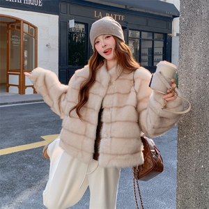 现货210-7702-P185-K268水貂立领皮毛一体外套女士图片