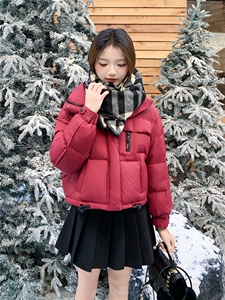 现货新款2180-P200-K299小个子羽绒服图片