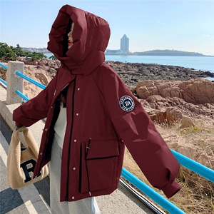 2C085-Q868P305K458 90白鸭绒新款宽松羽绒服外套图片