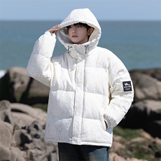新标90白鸭绒连帽羽绒服时尚休闲简约百搭外套BL0617-P268，男装羽绒服，电商B306