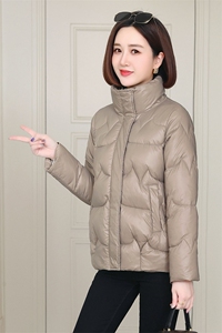 羽绒棉服女短款2025冬季新款时尚立领棉衣小个子宽松加厚棉袄外套图片