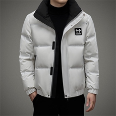 DJ2250钱塘2020-3冬季厚款时尚休闲百搭中年男士羽绒服P273，男装羽绒服，钱塘207-3
