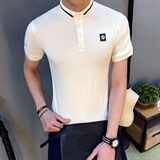 休闲修身免烫处理青少年2021年潮青春流行夏季棉毛布圆领Polo衫，男装Polo衫，电商A313