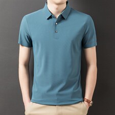 2023夏季新款短袖翻领衬衫T恤上衣POLO衫中青年男士商务休闲男装，男装T恤，电商B212（原钱塘6029）
