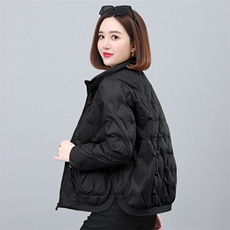 时尚气质休闲短款翻领羽绒服女冬装新款保暖外套，女装羽绒服，依恋蒂丝