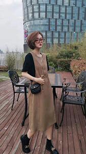 夏季新品假两件连衣裙图片