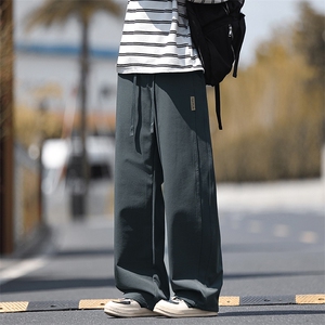 2025休闲男裤秋冬新款复合加厚款直筒宽松百搭松1667-2-特P44图片