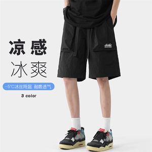 特P25无差价夏季速干薄款透气大码男ins休闲百搭沙滩五分短裤DK88图片