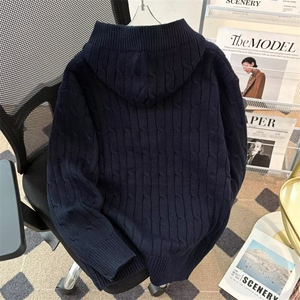 连帽套头毛衣时尚宽松针织打底衫毛线衣男士外穿高级感6511 P63图片