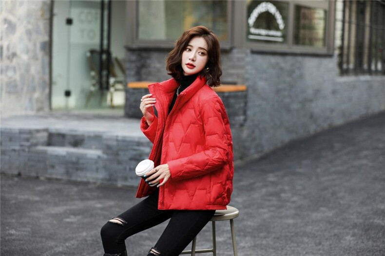 简约，大气 90白鸭绒 性价比很好的一款，其它，衣佳佰分